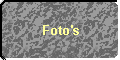 Foto's