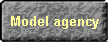 Model agency