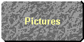 Pictures