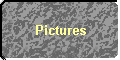 Pictures